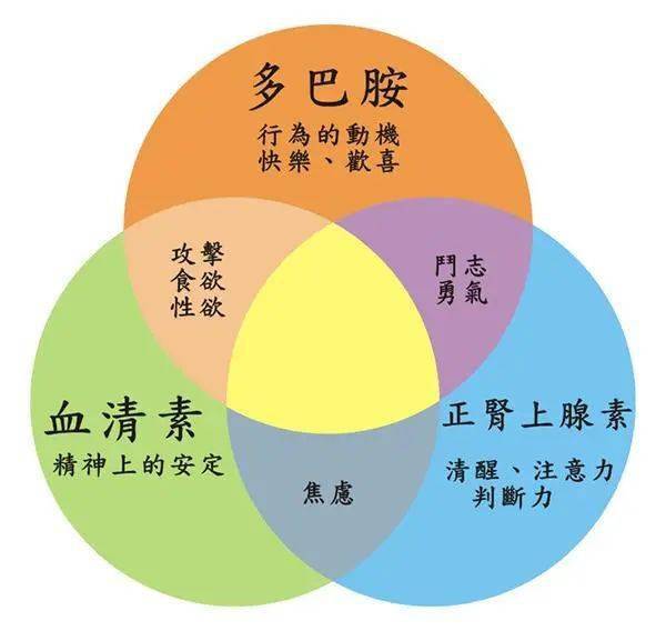 (快乐由多巴胺和什么组成)在快乐样态岛上释放大脑多巴胺，享受快乐幸福时刻